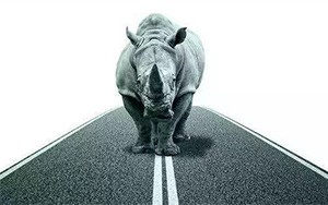 臣通觀點丨小心，中國產(chǎn)業(yè)園區(qū)的“灰犀?！庇謥砹耍?/>
							</a>
						</div>
						<div   id=