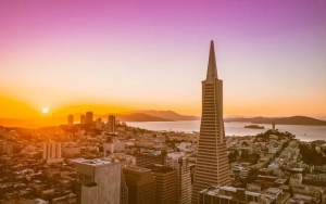 2019，產(chǎn)業(yè)園區(qū)的五大分水嶺